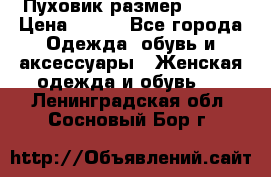 Пуховик размер 42-44 › Цена ­ 750 - Все города Одежда, обувь и аксессуары » Женская одежда и обувь   . Ленинградская обл.,Сосновый Бор г.
